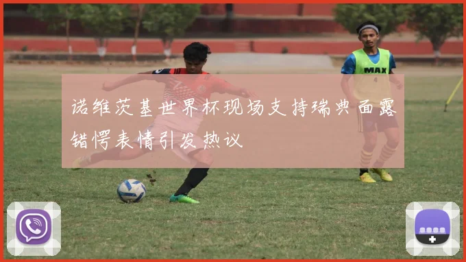 诺维茨基世界杯现场支持瑞典面露错愕表情引发热议