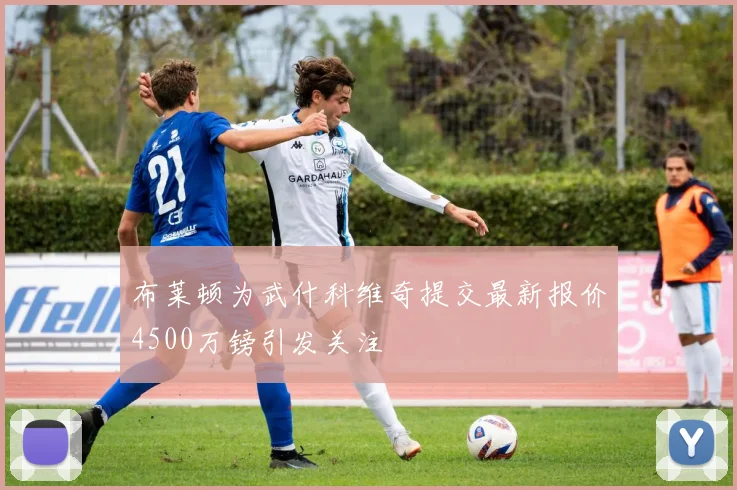 布莱顿为武什科维奇提交最新报价4500万镑引发关注