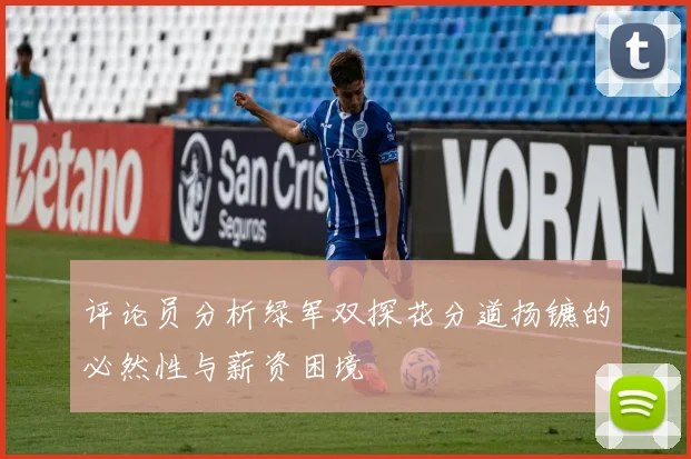 评论员分析绿军双探花分道扬镳的必然性与薪资困境